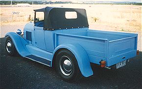 bluearear.jpg (13796 bytes)